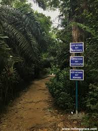 117, jalan gasing, pjs 10, 46000 petaling jaya, selangor (8,179.96 mi) petaling jaya, selangor, malaysia, 46000 Hiking At Bukit Gasing Forest Park Selangor Rolling Grace Your Travel Food Guide To Asia The World