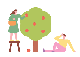 Fruits can even make you look younger. A Man And A Woman Are Harvesting The Fruit Of The Tree 2203691 Vector Art At Vecteezy