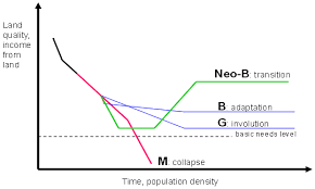 Image result for Raphidiocystis phyllocalyx