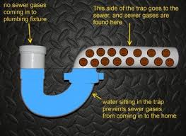 Stinky Laundry Room Stinky Bathroom Check Your Traps Sewer Gas Smell Plumbing Bathroom Drain