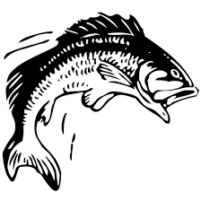 Fish Jumping Out Of Water Fish Coloring Page Fish Clipart Fish Silhouette