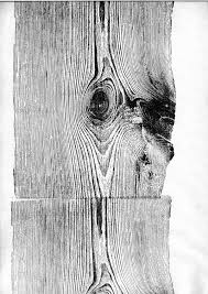 Black And White Wood Grain Background Pin By Colton Little On Beautiful Wood Illustration Wood Print Texture Drawing
