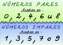 Image result for numeros pares e impares para niños
