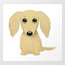 Their fur is soft and silky, and grows longest on their neck, chest, ears. Longhaired Cream Dachshund Cartoon Dog Art Print By Mylifeisacartoon Society6