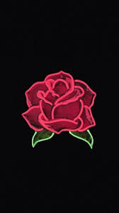 aesthetic rose wallpapers top free