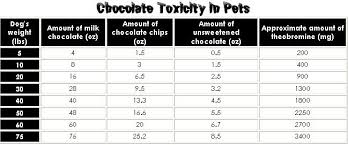 Chocolate Toxicity Chart At Petsweekly Com Pets Cat
