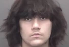 I am still working to learn how 3-year-old Nola Dinkins died this week. We  know her mother, 31-year-old Darrian Randle of Marion, Indiana, faces a  murder charge in Maryland. Police recovered human