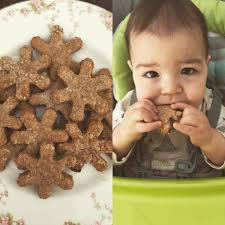 Does anyone have a recipe for a hard(ish) biscuit/cookie that I can give as  a snack? Preferably something that won't disintegrate into a hundred prices  in the eager grip of my two?