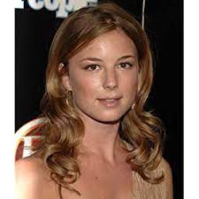 Her children are benjamin edwin cohen, gabriel anthony cohen, lily max cohen and they live with their parents in irvington, westchester county, new york. Emily Vancamp Net Worth 2020