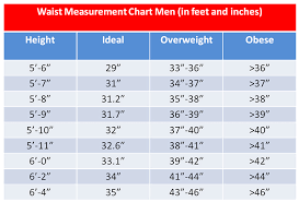 ideal waist size by height chart 3 fat chicks on a diet