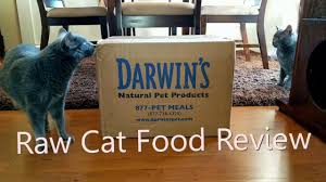 All reviews on the conscious cat will always reflect my honest and unbiased opinion, or, as the case may be, allegra and ruby's i tried her on samples of rad cat from the pet store and she was not interested. Darwin S Natural Pet Products Natural Selections Raw Cat Food Review Youtube