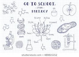 Study Biology Stock Illustrations Images Vectors