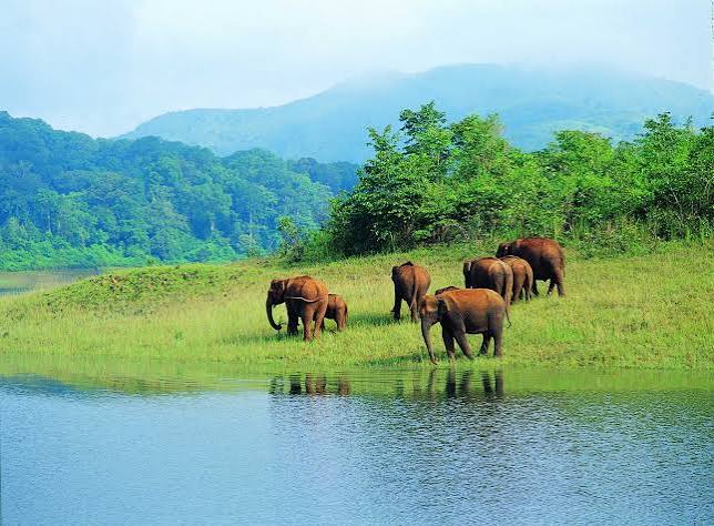 Thekkady – Wildlife & Spice Country