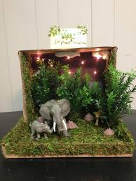 Grassland Biome In A Box Elephant Grassland Habitat Shoe Box Project Habitats Projects Ecosystems Projects Zoo Project