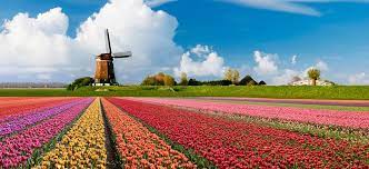 Olanda carr is the senior ministry relations officer serving the east region. Olanda Un Paese Da Scoprire Amsterdam Net