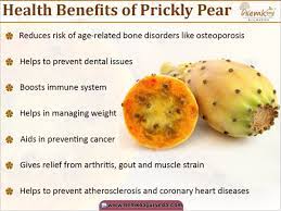 Cactus juice, also known as nopales, nopalitos or prickly pear juice, is a popular beverage in mexico, south america, india, the middle east and parts of europe. Health Benefits Of Prickly Pear Pears Benefits Reduce Cholesterol Naturally Cholesterol Lowering Foods
