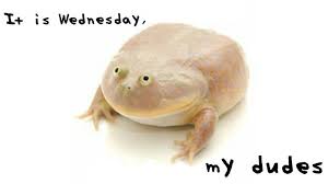 # wednesday # hump day # humpday # happy wednesday # its wednesday. It Is Wednesday My Dudes Know Your Meme