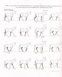 Weeks 1 And 2 Quadruped Walk And Run Cycle Horse Animation Walking Animation Animation Reference