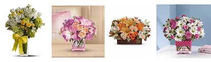 Sf bay area free stuff santa rosa. The 8 Best Options For Flower Delivery In Santa Rosa 2021