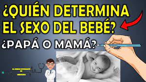 WHO GIVES THE SEX OF THE BABY?: Male or Female ⁉🤔 WHO DETERMINES THE SEX  OF THE BABY? 👨🏻‍⚕️📝 - YouTube
