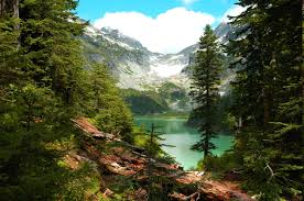 There are many more hot tagged wallpapers in stock! 2808731 Lake Forest Mountain Washington State Trees Cliff Water Clouds Green Nature Landscape Wallpaper Cool Wallpapers For Me