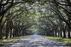 Savannah Ga Quotes Quotesgram