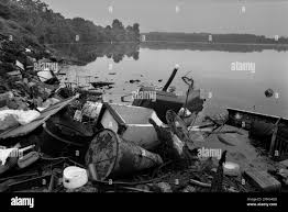 Image result for White 1990 Land O Lakes