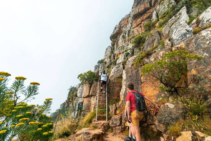 Cape Town Travel Guide: 14 Best Things to Do & 4-Day Itinerary