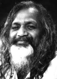 dwSpring 08 Newsletter.qxd