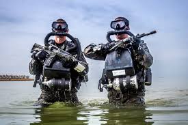 Planning your trip to great lakes can be a little overwhelming, but we've got all you need to know to have the most memorable trip. Navy Seals Take Combat Diving Capability To Another Level