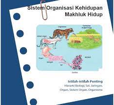 Maybe you would like to learn more about one of these? Rangkuman Materi Ipa Kelas 7 Bab 7 Portal Edukasi