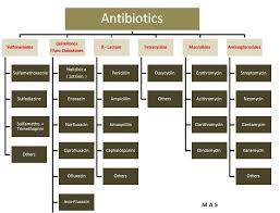 antibiotic families pharmacology nursing pharmacology