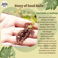 It will also be easier to find if you start seeds in very small containers or plastic flats, you'll need to transplant seedlings into slightly larger pots once they have their first set of true leaves. Jodo India Social Foundation Posts Facebook