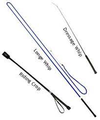 Add to wish list add to compare. Equestrian Movement Crop Vs Dressage Whip What To Use When