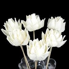 We did not find results for: Pin By Jasmine Marie On 05 30 2020 Aroma Oil Diffusers Reed Diffuser Sticks Diffuser Sticks