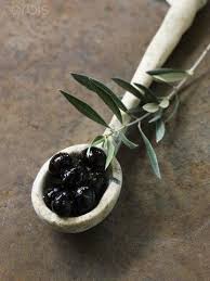 Olives Olive Harvest Olive Tree Olive Oil
