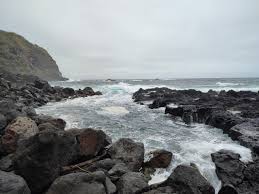 Image result for Ferraria