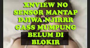 The xnview indonesia 2019 terbaru apk is a free android mobile application that helps you to thousand of hot videos in hd. Xnview Indonesia 2019 Apk All Computer Desktop Wallpaper Downloads