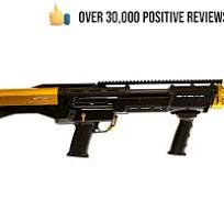 Black & Gold Two-Tone DP-12 Double Barrel Pump Shotgun
