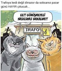 Trafo Onemli Mizah Karikatur Kedi
