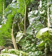 Temps De Cuisson Des Bettes Au Cookeo Blette Cote De Bette Recette De Blettes