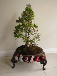 Topped off with decorative ornaments, the basket of christmas cheer is sure to put your recipient in the seasonal. 25 Best Looking For Bonsai Christmas Tree Pink Wool