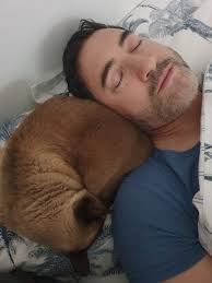 If going away we can look after your furry babies