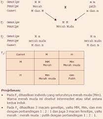 Check spelling or type a new query. Contoh Persilangan Monohibrid Dan Dihibrid