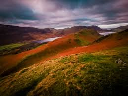 Went to Knole Park in Sevenoaks to see the deer and made some extra friends.