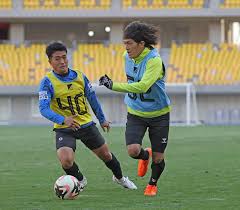 Jpfa トライアウト