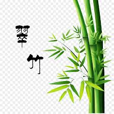 Family Tree Drawing Png Download 900 894 Free Transparent Bamboo Png Download Cleanpng Kisspng I do like how i did the auto focus affect which some cameras have. family tree drawing png download 900