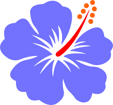 Clipart Vector Hibiscus Flower Png Transparent Cartoon Jing Fm You can see the formats on. clipart vector hibiscus flower png