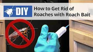 However, there are some home projects that should be completed by a professional and pest control is one of them. Do It Yourself Pest Control Videos