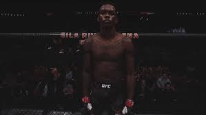 .wallpaper (25) ice cream wallpapers (1) indie wallpapers (41) initial d wallpapers (49) invincible wallpapers (14) iron man wallpapers (116) islamic wallpapers (29) israel adesanya wallpaper. Best Adesanya Champ Gifs Gfycat